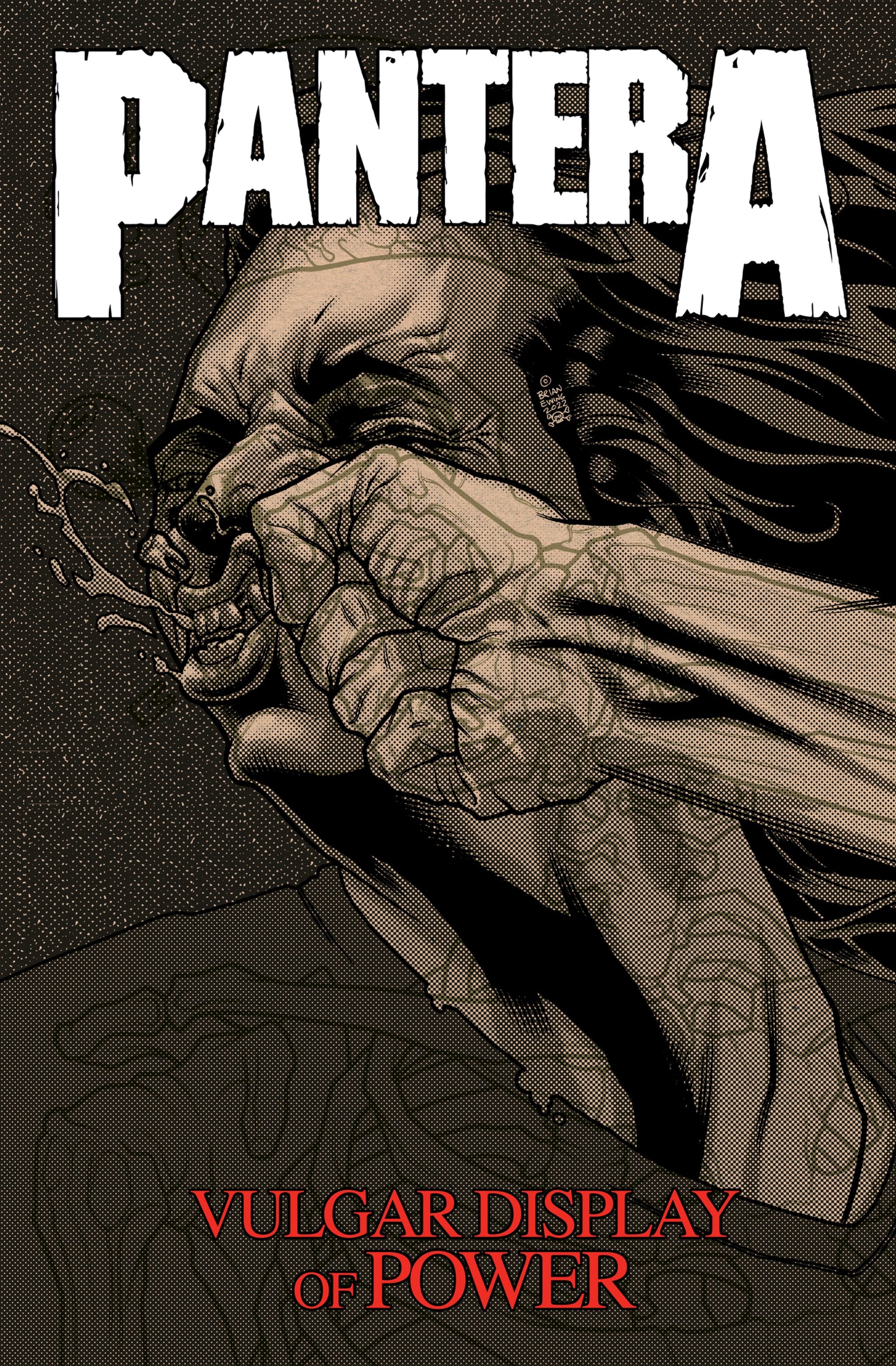 Cover image for Pantera: Vulgar Display of Power ISBN 9798886560169